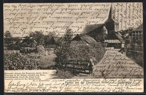 AK Kirchboitzen /Lüneburger Heide, Dorfstrasse, Kirche, Bauernhaus