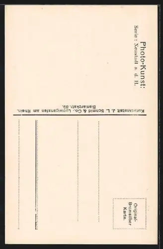 AK Neustadt a. d. H., Turmgasse