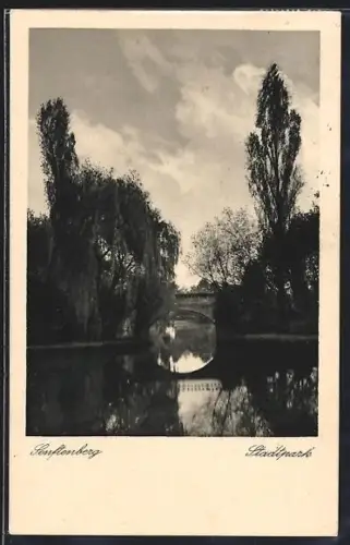 AK Senftenberg, Stadtpark