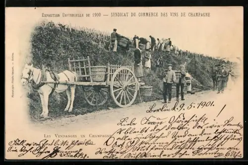 AK Paris, Exposition universelle de 1900, Les Vendanges en Champagne