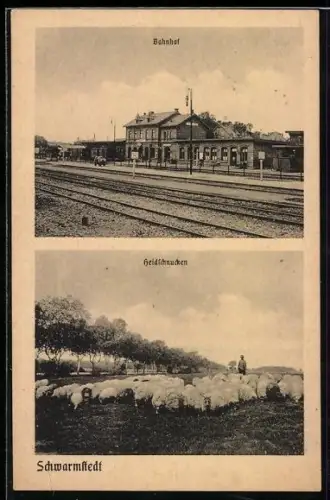 AK Schwarmstedt, Bahnhof, Heidschnucken