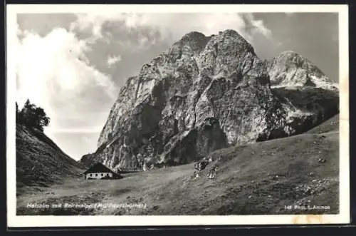 AK Ramsau bei Berchtesgaden, Halsalm mit Reiteralp (Hinterseehöhen)