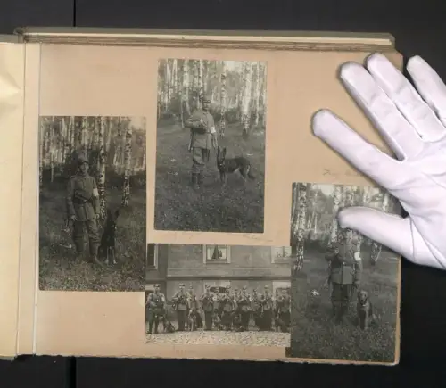 Fotoalbum mit 322 Fotografien und 39 Losen Fotos, 2. Sanitäts-Komp. 32. Div. 12. Armee Rgt., Diensthund, Sanitätshunde
