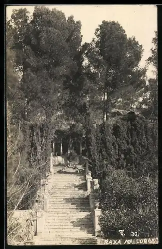 AK Raxa /Mallorca, Treppe