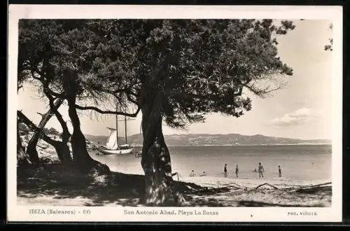 AK Ibiza /Baleares, San Antonio Abad. Playa La Bassa