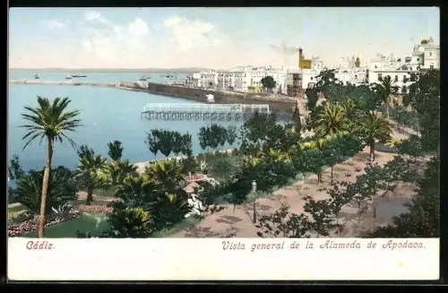 AK Cádiz, Vista general de la Alameda de Apodaca