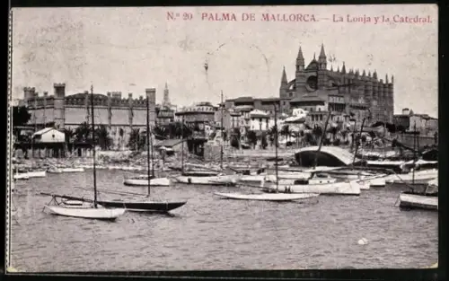 AK Palma de Mallorca, La Lonja y la Catedral