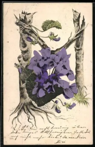 AK Baumstämme und Äste formen den Buchstaben M