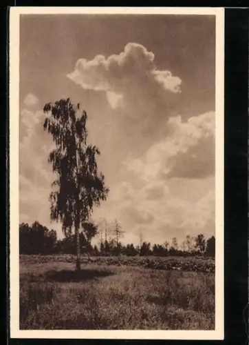 AK Spreewald, Abend im Spreewald, Ganzsache WHW Winterhilfswerk