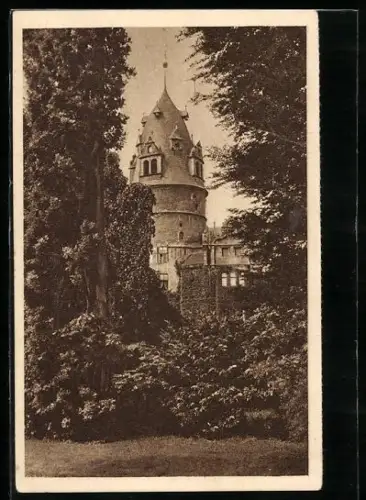 AK Detmold, Blick zum Schloss, Ganzsache WHW Winterhilfswerk