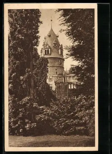 AK Detmold, Blick zum Schloss, Ganzsache WHW Winterhilfswerk