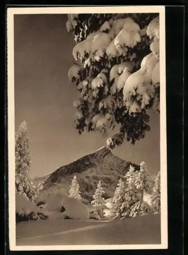 AK Alpspitze im Winter, Ganzsache WHW Winterhilfswerk