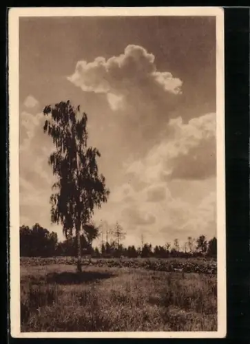 AK Abend im Spreewald, Ganzsache WHW Winterhilfswerk