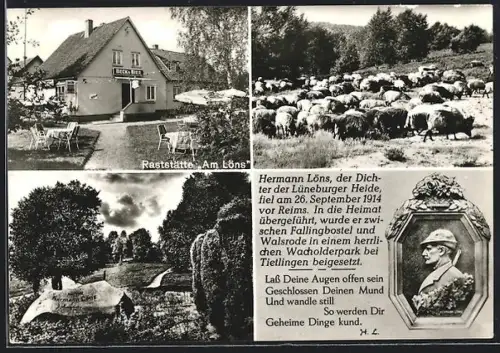 AK Uetzingen, Raststätte Am Löns, Inh. Helmut u. Annemarie Warncke, Hermann Löns Gedenkstein