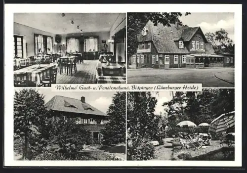AK Bispingen /Lüneburger Heide, Wilhelms Gast- und Pensionshaus
