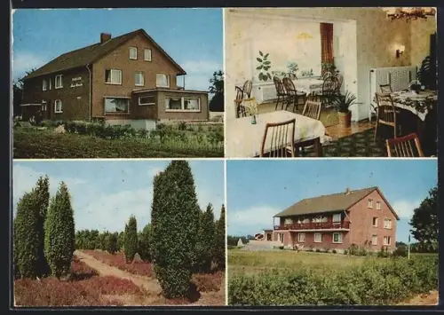 AK Bispingen /Lüneburger Heide, Pension Haus Monika, Bes. Otti Funk