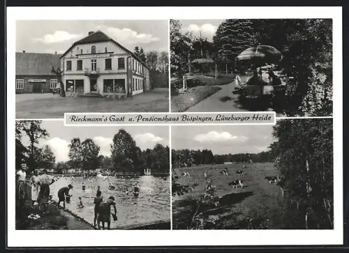 AK Bispingen /Lüneburger Heide, Rieckmann`s Gasthaus und Pension, Schwimmbad