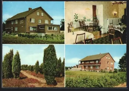 AK Bispingen /Lüneburger Heide, Pension Haus Monika, Inh. Otti Funk