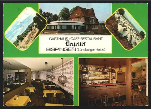 AK Bispingen /Lüneburger Heide, Gasthaus Café Restaurant Degener