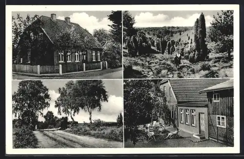 AK Bispingen /Lüneburger Heide, Privatpension Gustav Jürges