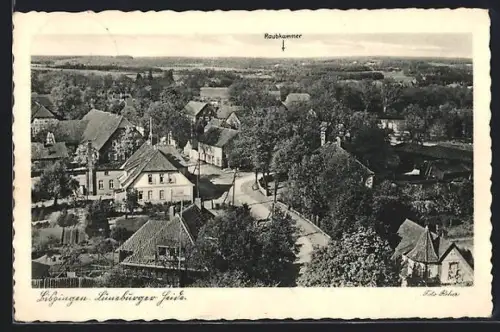 AK Bispingen /Lüneburger Heide, Ortsansicht mit Raubkammer