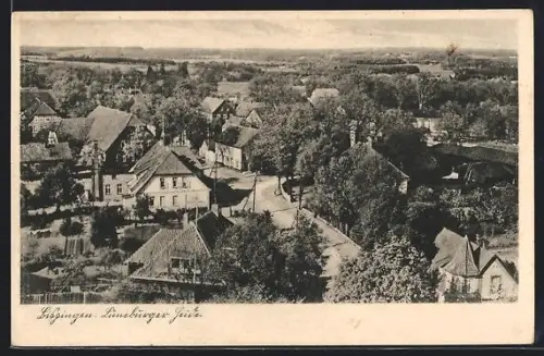 AK Bispingen /Lüneburger Heide, Blick auf den Ort