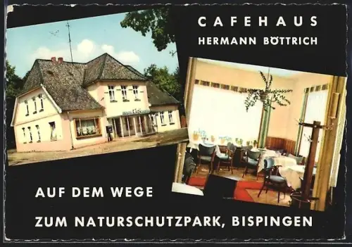 AK Bispingen, Cafehaus Hermann Böttrich, Innen- und Aussenansicht