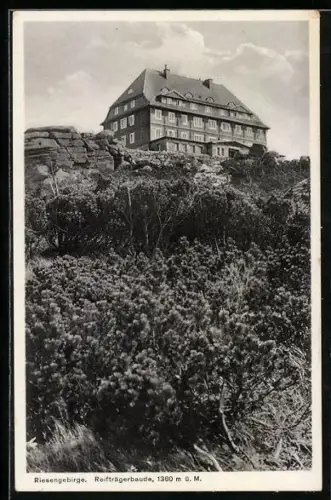 AK Reifträgerbaude im Riesengebirge