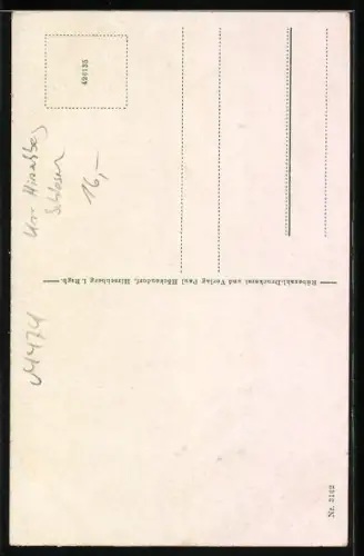 AK Reifträgerbaude im Riesengebirge