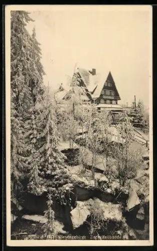 AK Zackelfallbaude /Riesengebirge, Winteransicht