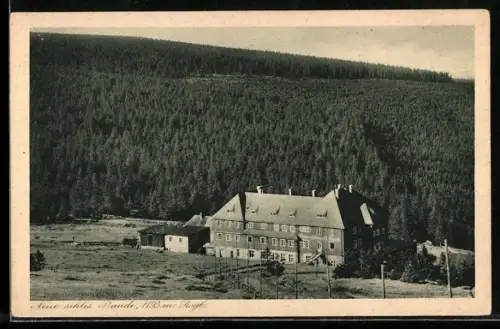 AK Neue Schlesische Baude /Riesengebirge, Berghütte mit Waldblick