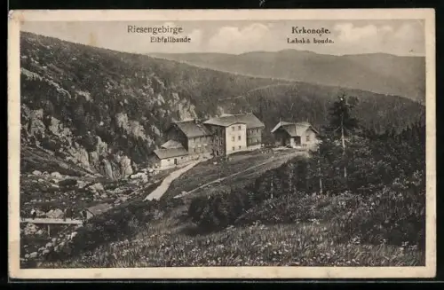 AK Elbfallbaude /Riesengebirge, Berghütte mit Umgebung