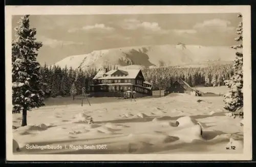 AK Schlingelbaude in der Winterlandschaft des Riesengebirges