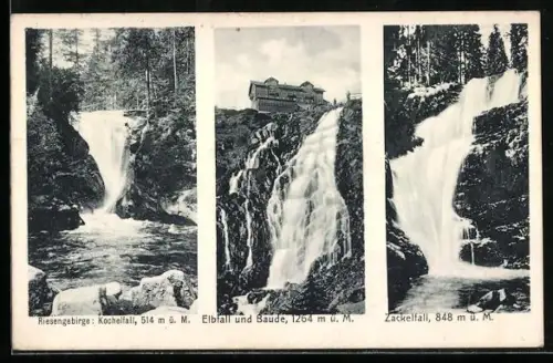 AK Elbfallbaude /Riesengebirge, Elbfall u. Baude, Kochelfall, Zackelfall