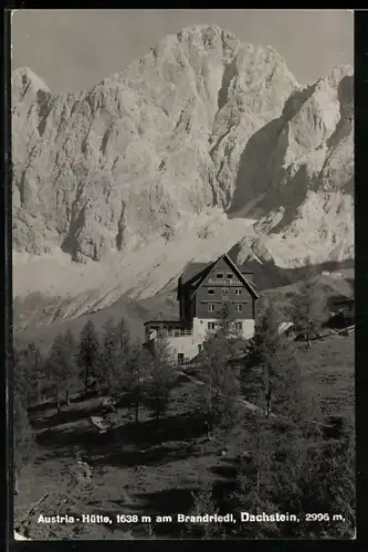 AK Austria-Hütte am Brandriedl, Blick gegen den Dachstein