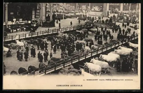 AK Paris, Concours Agricole, Nobecourt