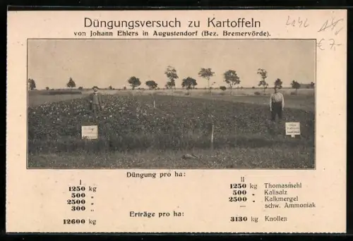 AK Augustendorf, Düngungsversuch zu Kartoffeln