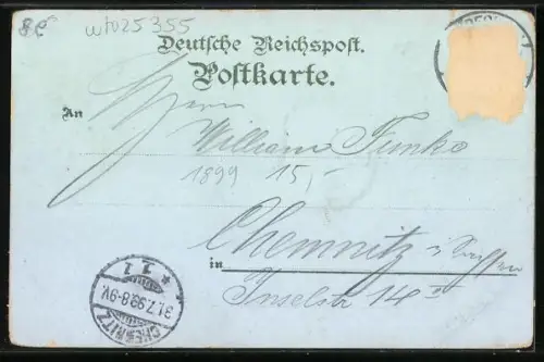 Lithographie Rüdesheim, Brömserburg, Niederwalddenkmal, Rheinansicht