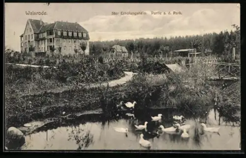 AK Walsrode, 58er Erholungsheim, Partie a. d. Park
