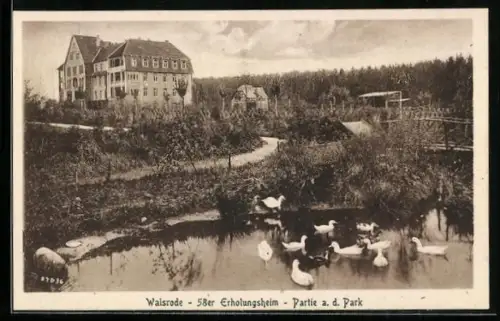 AK Walsrode, 58er Erholungsheim, Partie am Park