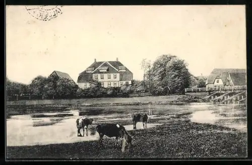AK Rethem /Aller, Gutshof mit Teich und Kühen