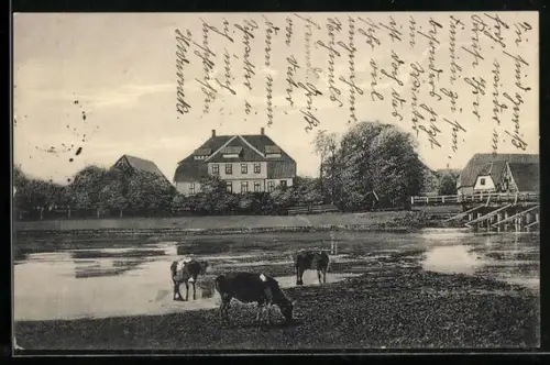 AK Rethem /Aller, Gutshaus und Teich mit Kühen