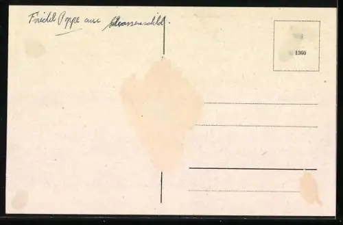 AK Rethem a. d. Aller, Langestrasse