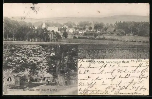 AK Bispingen, Lüneburger Heide, Pfarrhaus mit uralter Linde, Ortsansicht