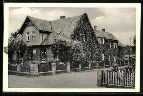 AK Bispingen /Lüneburger Heide, Pension Volkmer