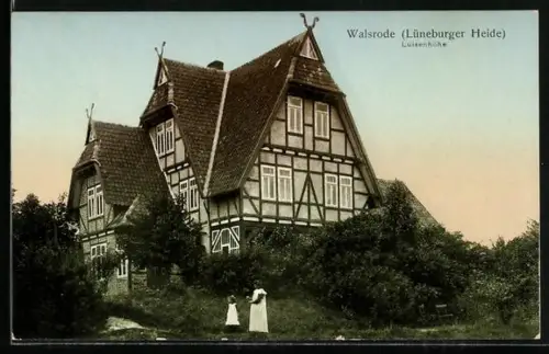 AK Walsrode /Lüneburger Heide, Luisenhöhe