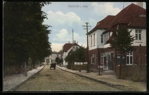 AK Munster i. Han., Strassenansicht mit Wohnhäusern und Pferdewagen