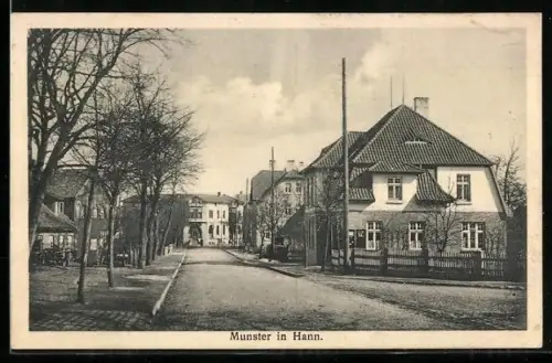 AK Munster in Hann., Strassenansicht mit Wohnhäusern und Bäumen