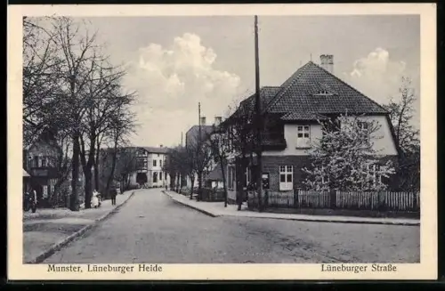 AK Munster /Lüneburger Heide, Lüneburger Strasse