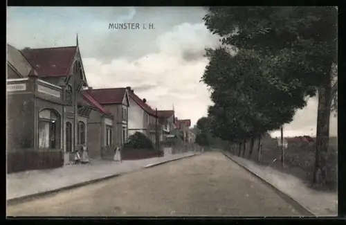 AK Munster i. H., Strassenansicht mit Wohnhäusern und Bäumen